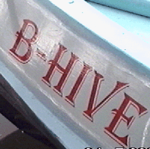 name2.gif (62365 bytes)