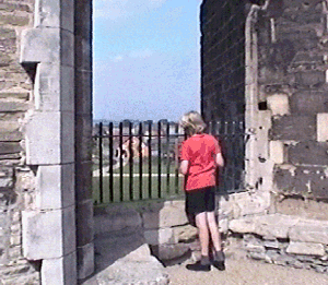 newarkcastle2.gif (65394 bytes)