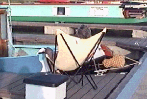 newarkmarina2.gif (42962 bytes)
