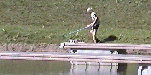 newarkmarina4.gif (36212 bytes)