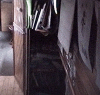 nickcabin1.gif (33012 bytes)