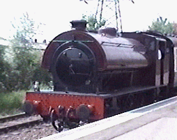 pbrotrain2.gif (33521 bytes)