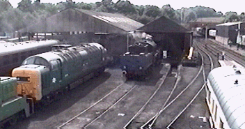 pbrotrain5.gif (53360 bytes)