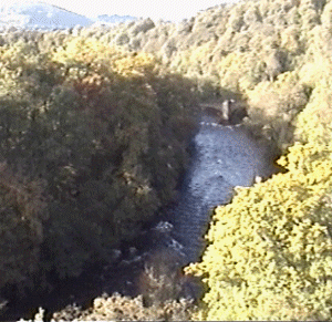 pont7.gif (69857 bytes)