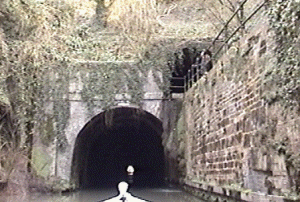 shrewly.gif (63218 bytes)