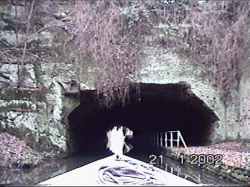 shrop1.gif (44976 bytes)