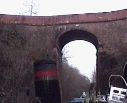 shrop2.gif (32263 bytes)