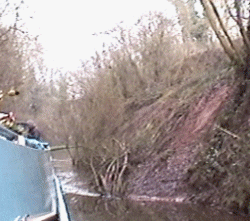 shrop3.gif (44501 bytes)