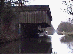 shrop4.gif (30018 bytes)