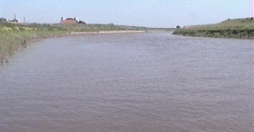 slexit5.gif (33139 bytes)