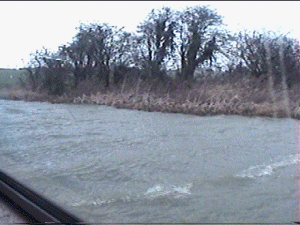 waves.gif (46771 bytes)