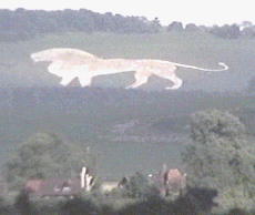 whitelion.gif (26870 bytes)