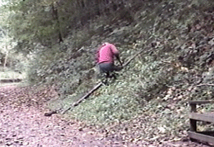 wood1.gif (62345 bytes)
