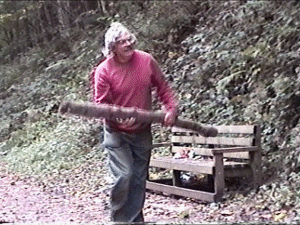 wood2.gif (67850 bytes)